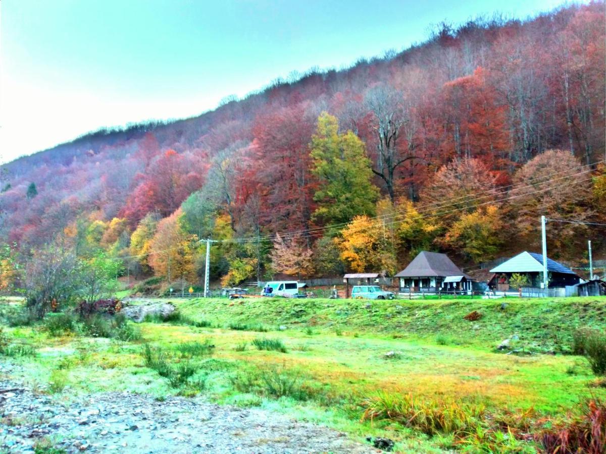 Вілла Casuta Din Valea Regilor Gradistea de Munte Екстер'єр фото
